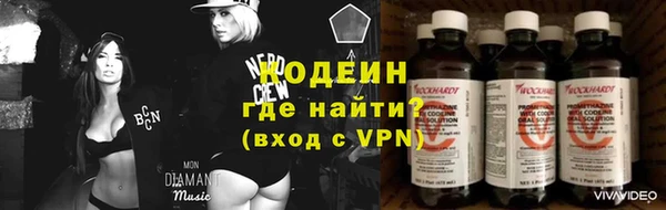 дурь Алзамай