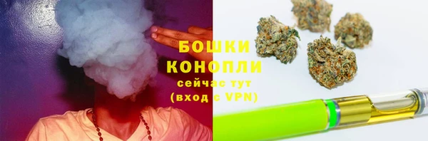 шишки Пестово