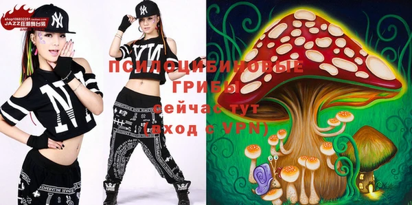 дурь Алзамай