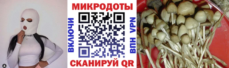 Псилоцибиновые грибы Psilocybine cubensis  Заволжск 
